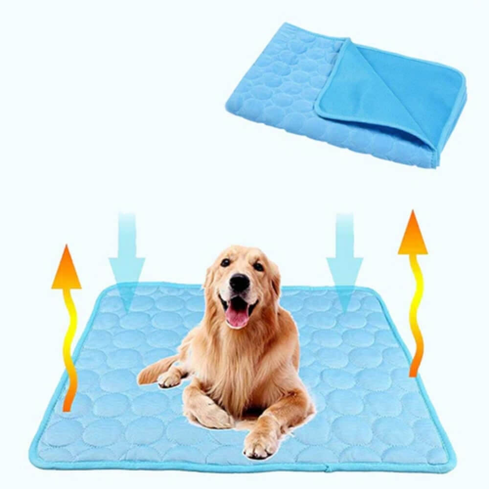 Tapis rafraîchissant pour chien