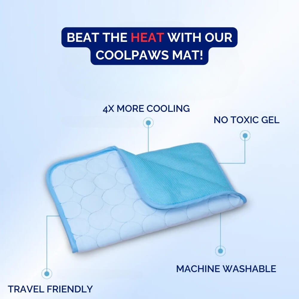 Tapis rafraîchissant pour chien