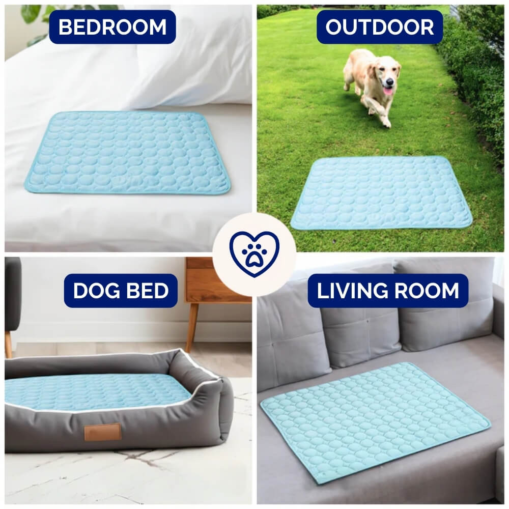 Tapis rafraîchissant pour chien