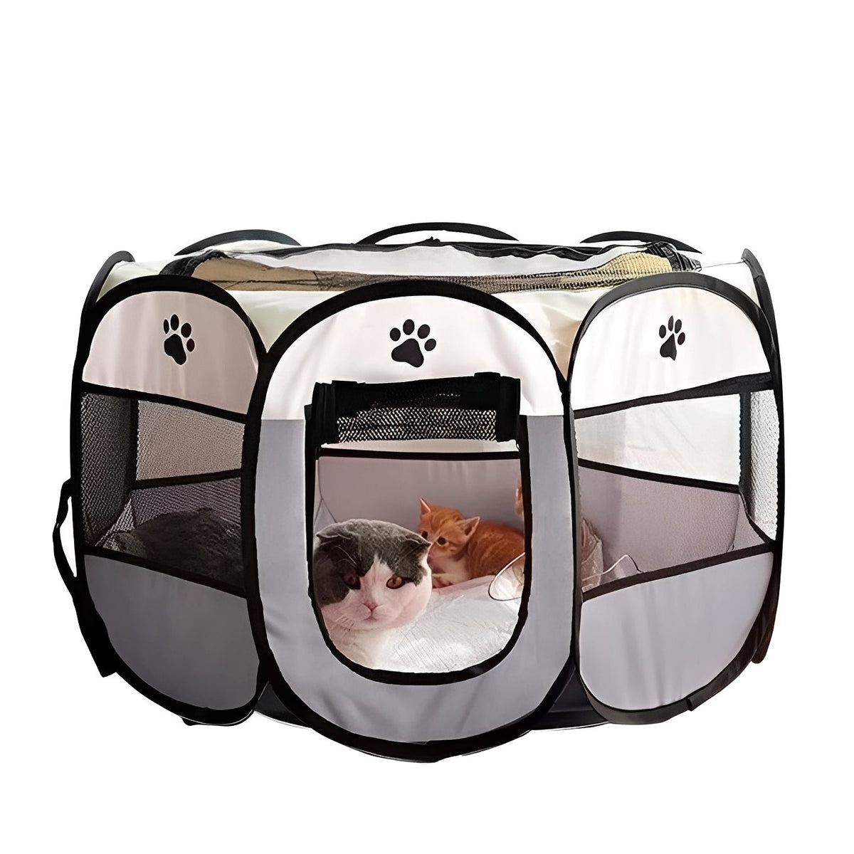 Tente pour animaux de compagnie pour chats et petits chiens, pour l'intérieur et l'extérieur