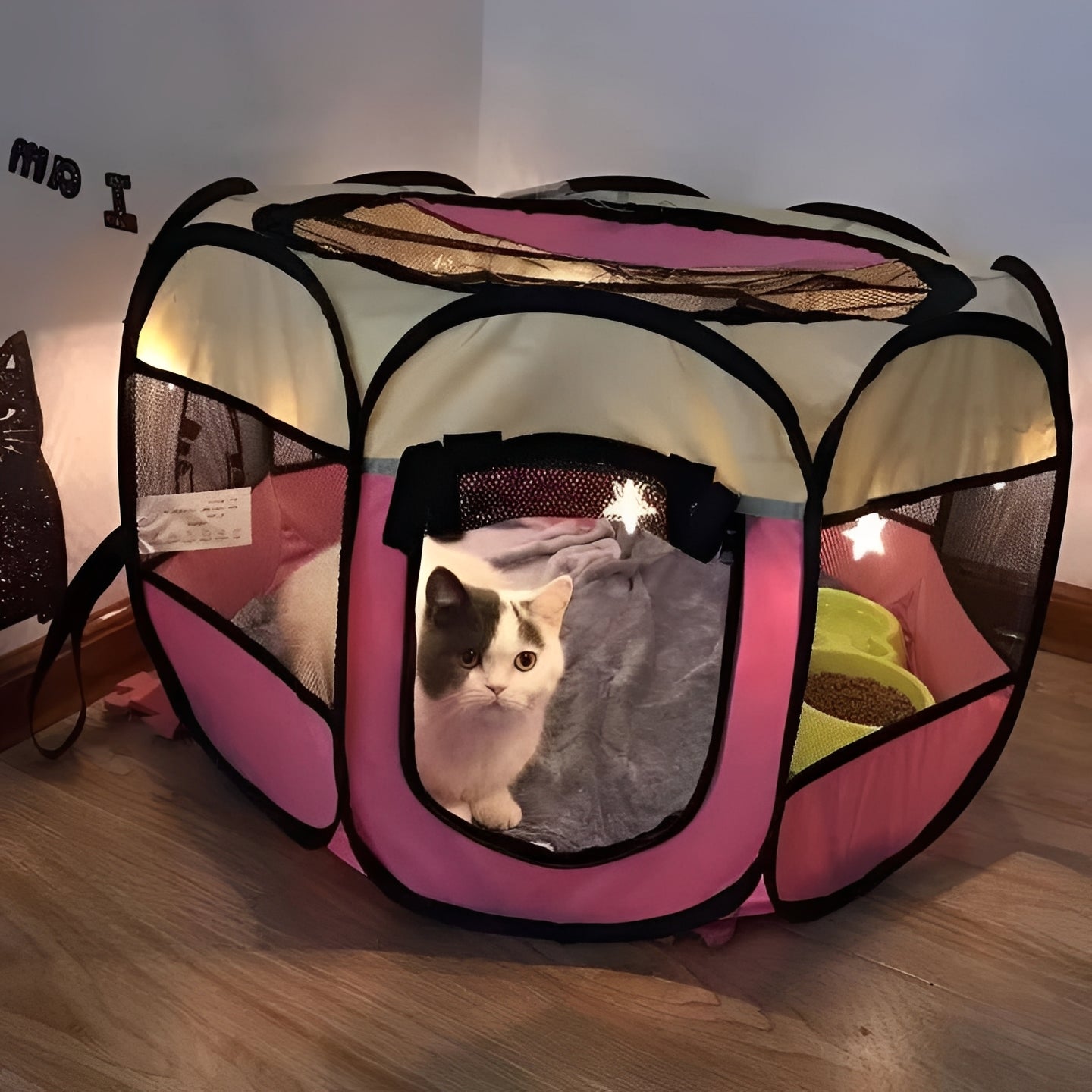 Tente pour animaux de compagnie pour chats et petits chiens, pour l'intérieur et l'extérieur