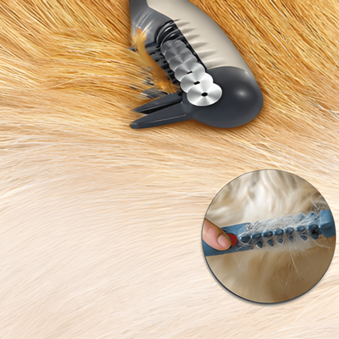 Tondeuse douce pour poils d'animaux, adaptée à tous les types de pelage