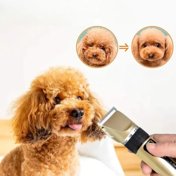 Tondeuse silencieuse pour chien avec peignes réglables