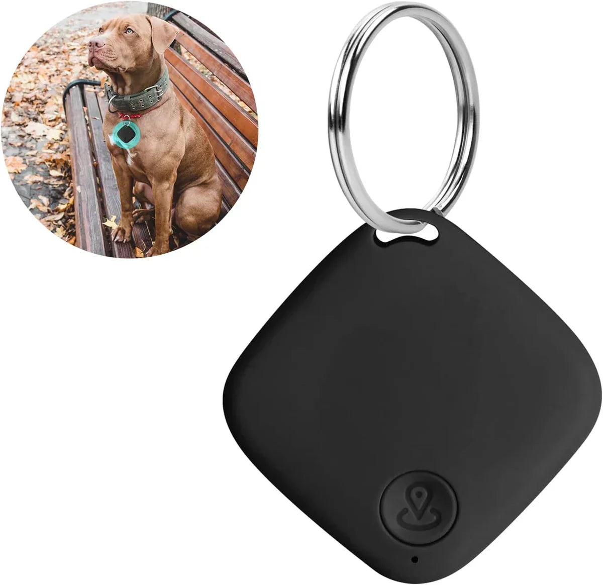 Traceur GPS compact pour animaux de compagnie, enfants et objets de valeur