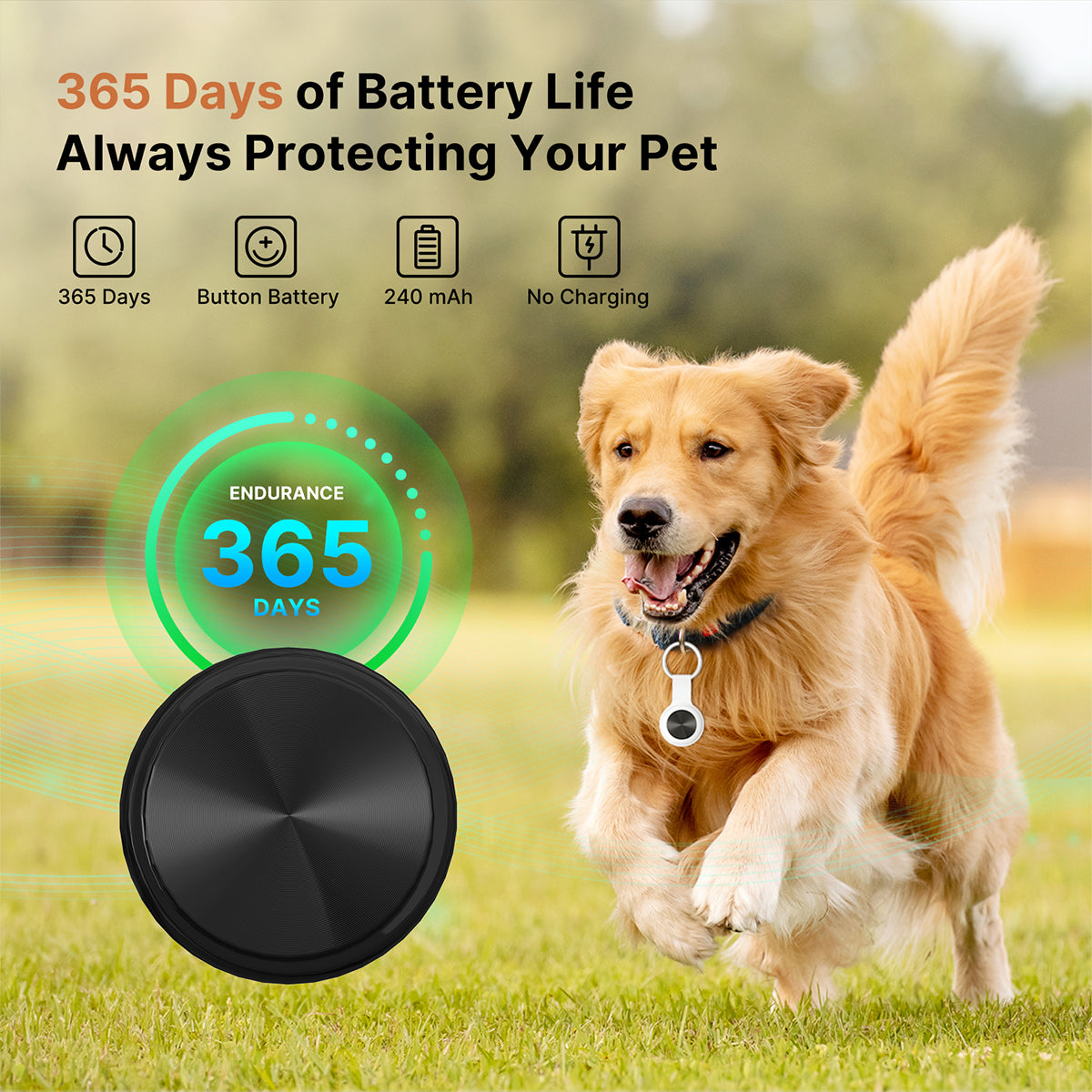 Traqueur GPS intelligent pour animaux de compagnie