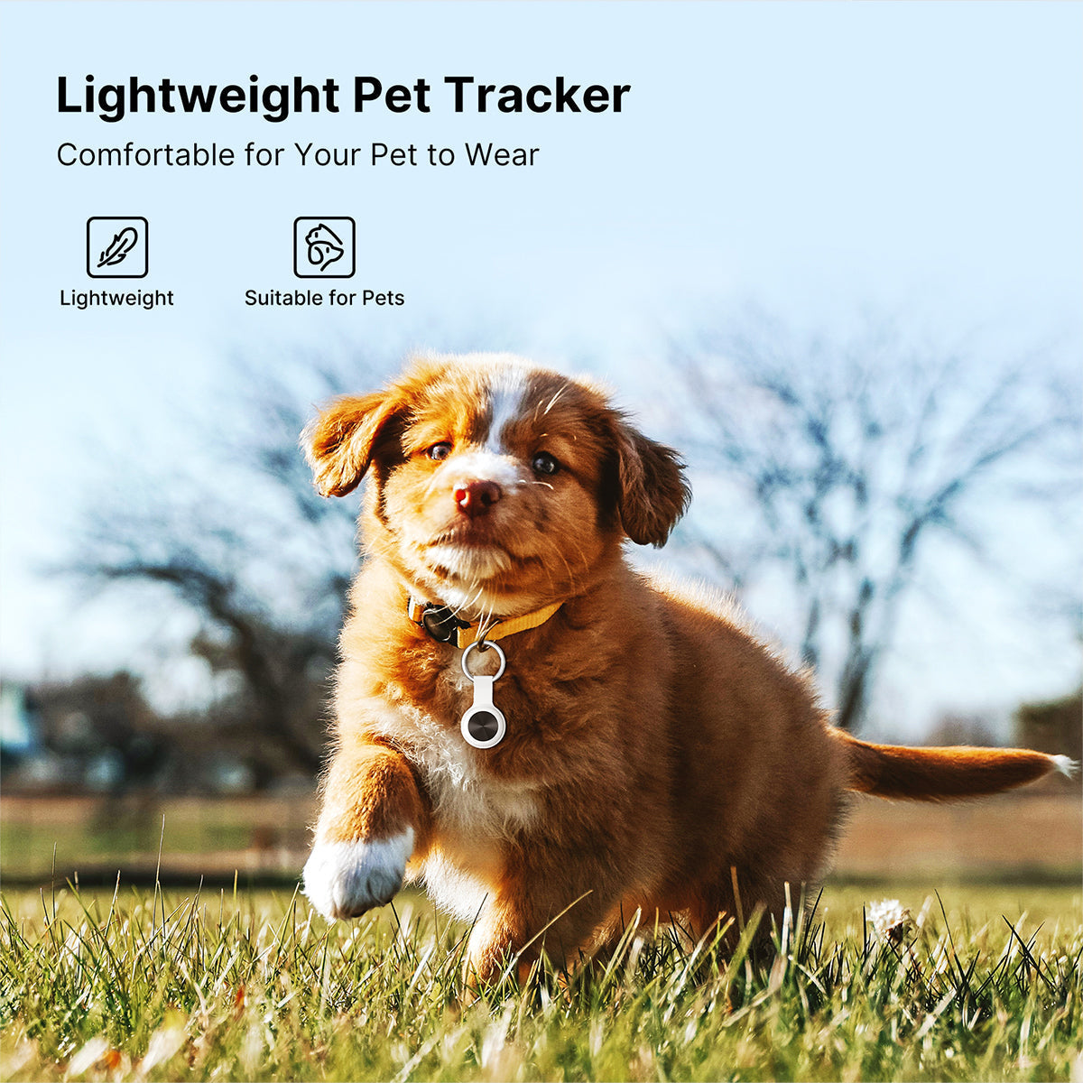 Traqueur GPS intelligent pour animaux de compagnie