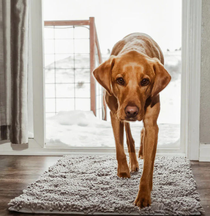 Ultra-Absorbent and Non-Slip Washable Microfiber Mat for Dogs - PawDry