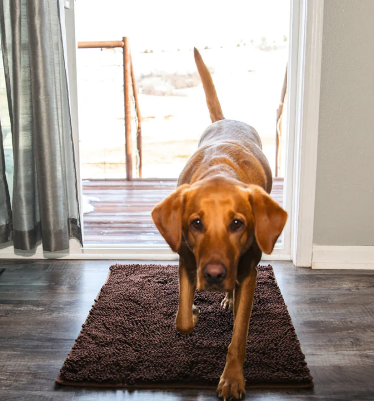 Ultra-Absorbent and Non-Slip Washable Microfiber Mat for Dogs - PawDry