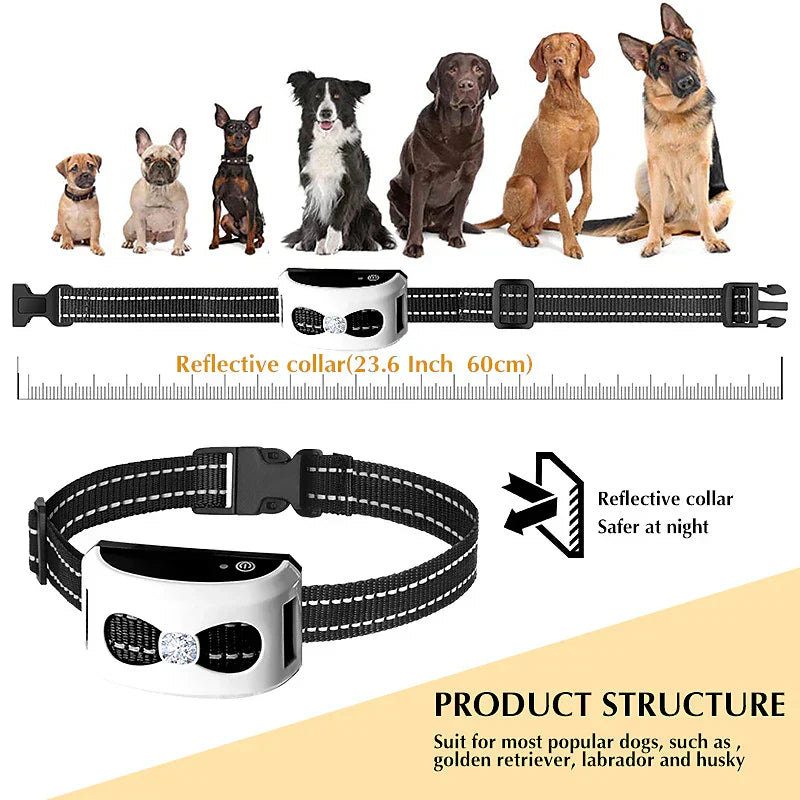 Wireless Fence & Training Collar 2-in-1 - Waterproof & Rechargeable